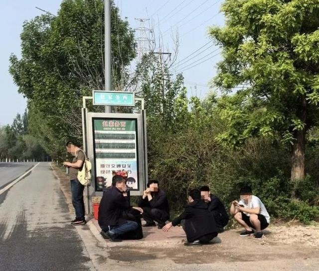 公交候車亭理應多配一些(圖1)